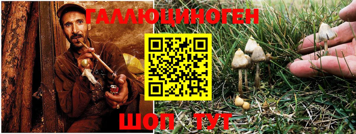 Псилоцибиновые грибы ЛСД Осинники