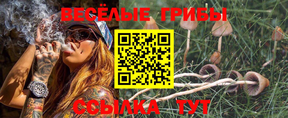 Осинники  Галлюциногенные грибы мицелий  Вход с VPN 